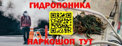 прущие грибы Боровичи