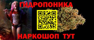 прущие грибы Боровичи